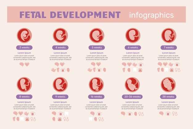 Finasteride fetal development