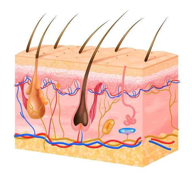 Finasteride hair cycle