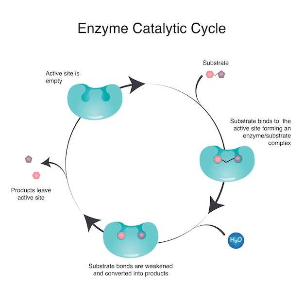 Testosterone finasteride cycle